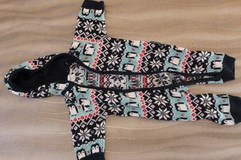 gilet/combinaison