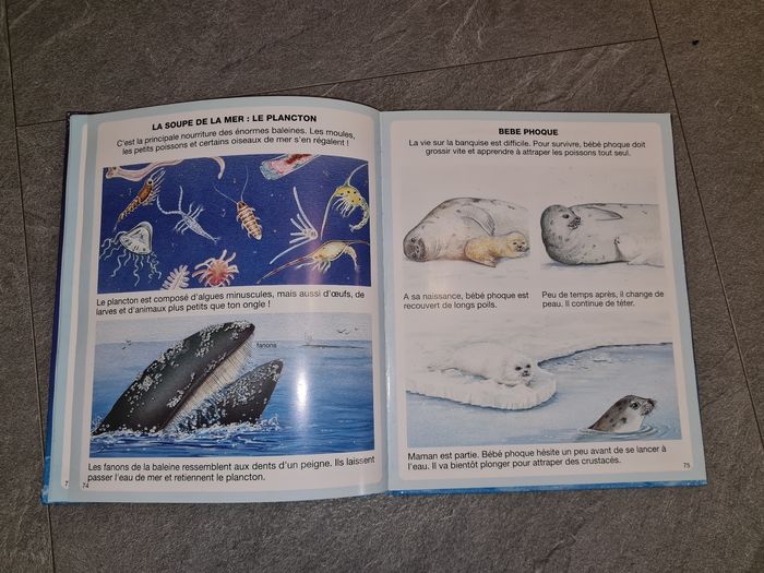 Livre l'imagerie de la mer à couverture est abîmé voir photo - photo numéro 4