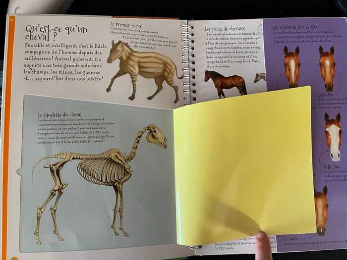 Livre Chevaux et Poneys - photo numéro 3