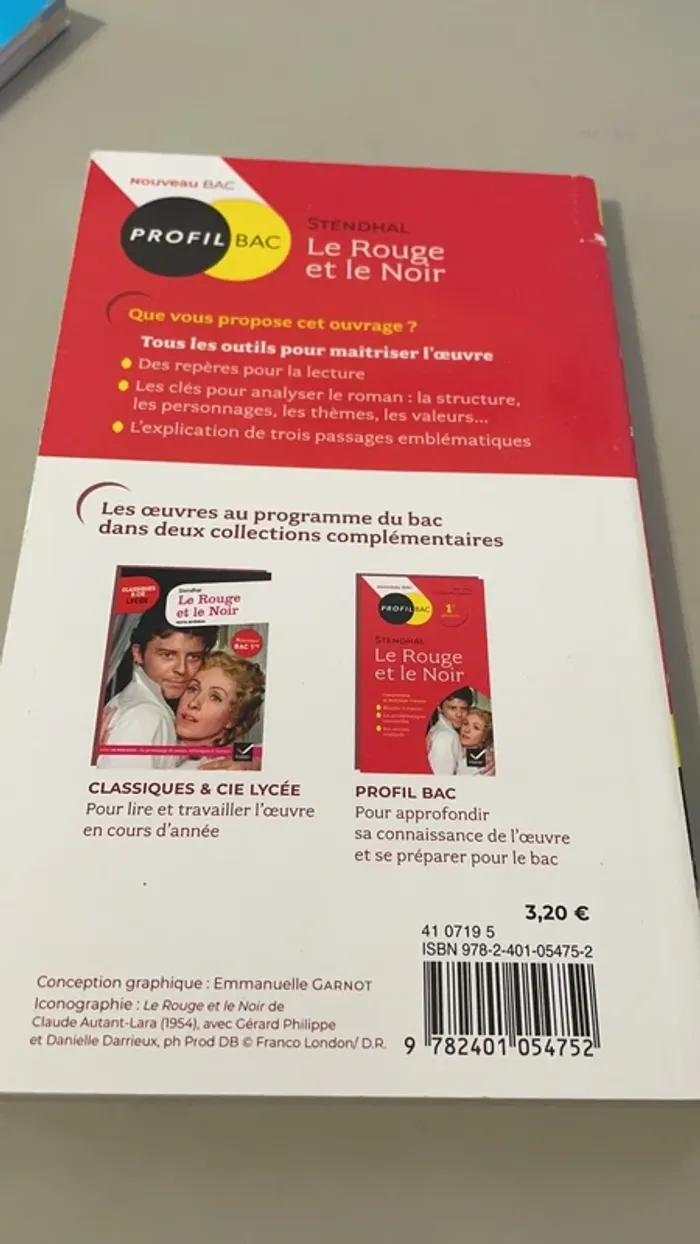 Le rouge et le noir (bac français) - photo numéro 5
