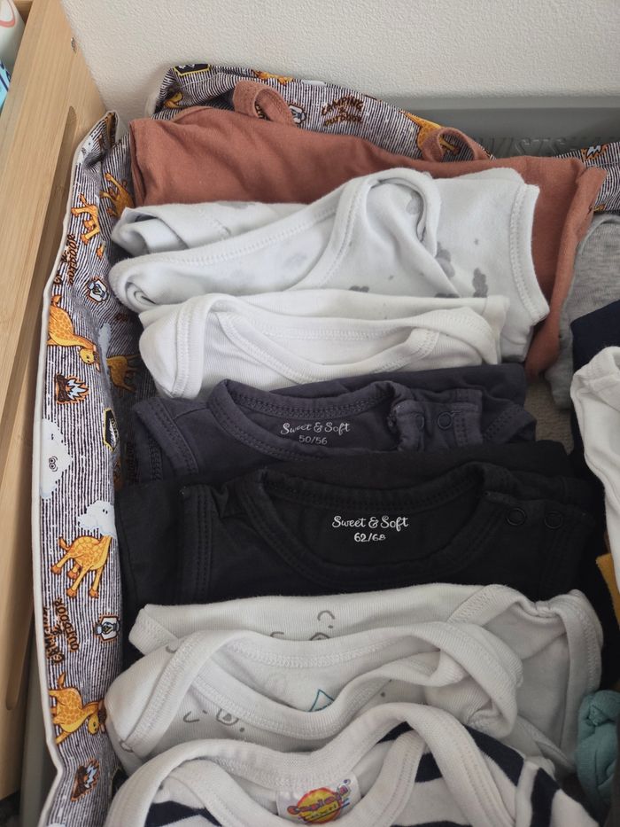 Bodies - photo numéro 2