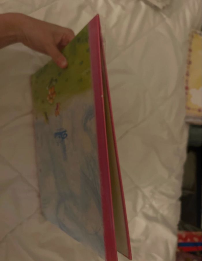 Classeur Diddl avec 104 feuilles 🩵🐭 - photo numéro 2