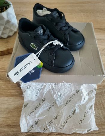 🦋 Basket Lacoste Mixte T20 🦋