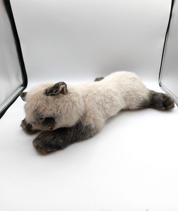 Grande peluche vintage Chat style persan gris blanc écru 55 cm ancien doudou réaliste - collection