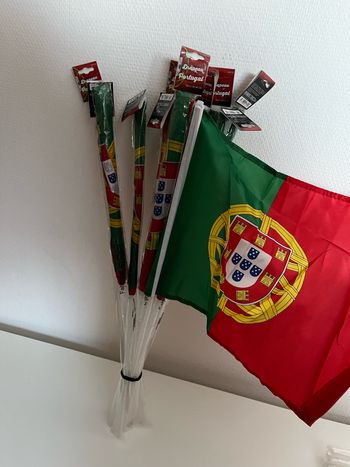 Lot 10 drapeaux Portugal 30 x 45 cm avec la tige
