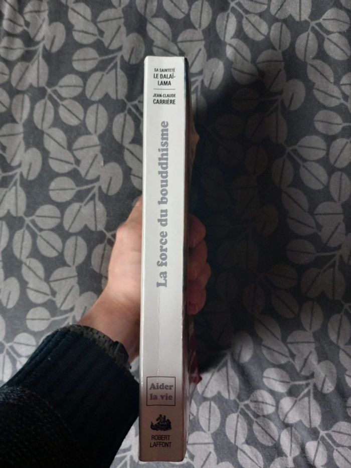 La force du bouddhisme - photo numéro 3