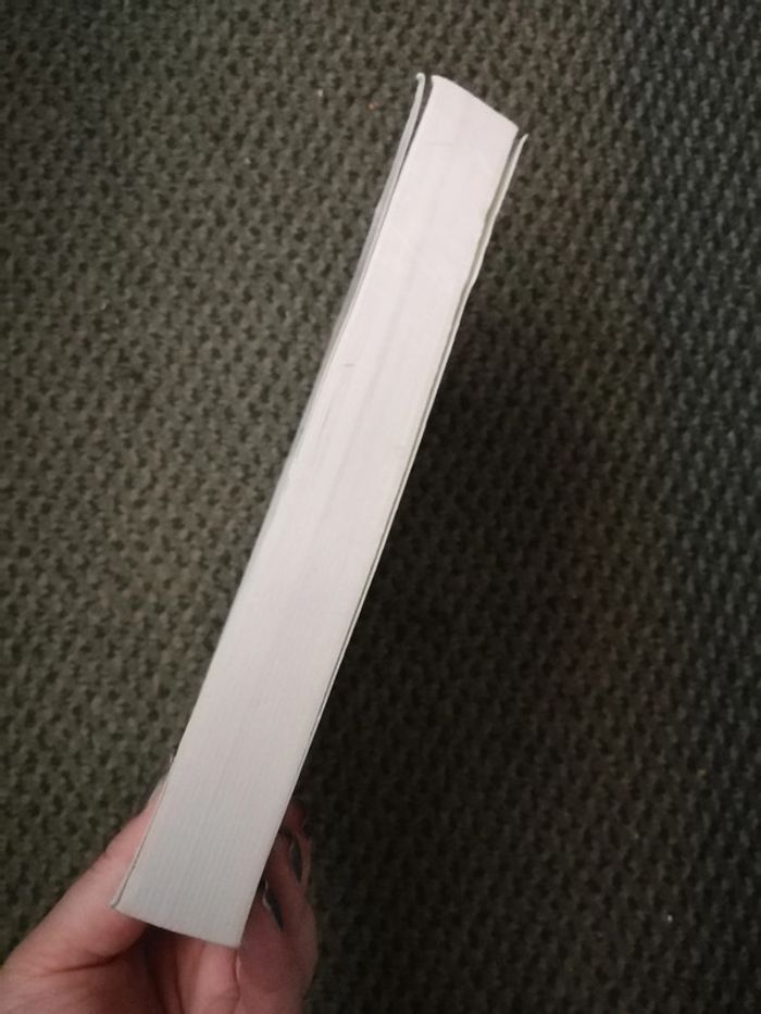 Les Strauss-Kahn, éditions Albin Michel - photo numéro 7