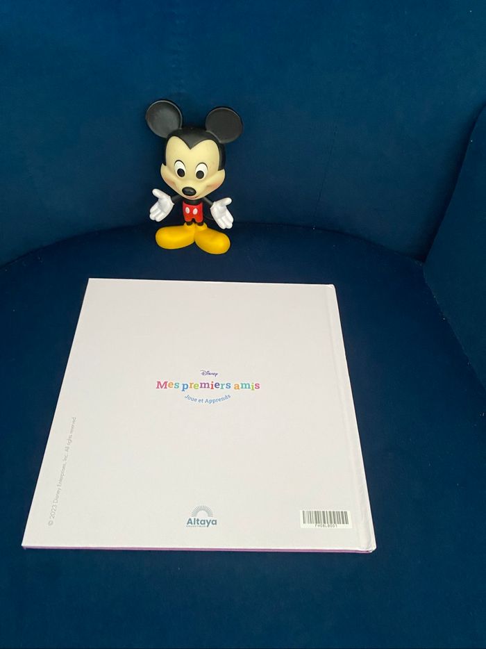 Mickey - photo numéro 5