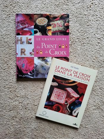 Lot de 2 livres de créations au point de croix DMC - Parfait état