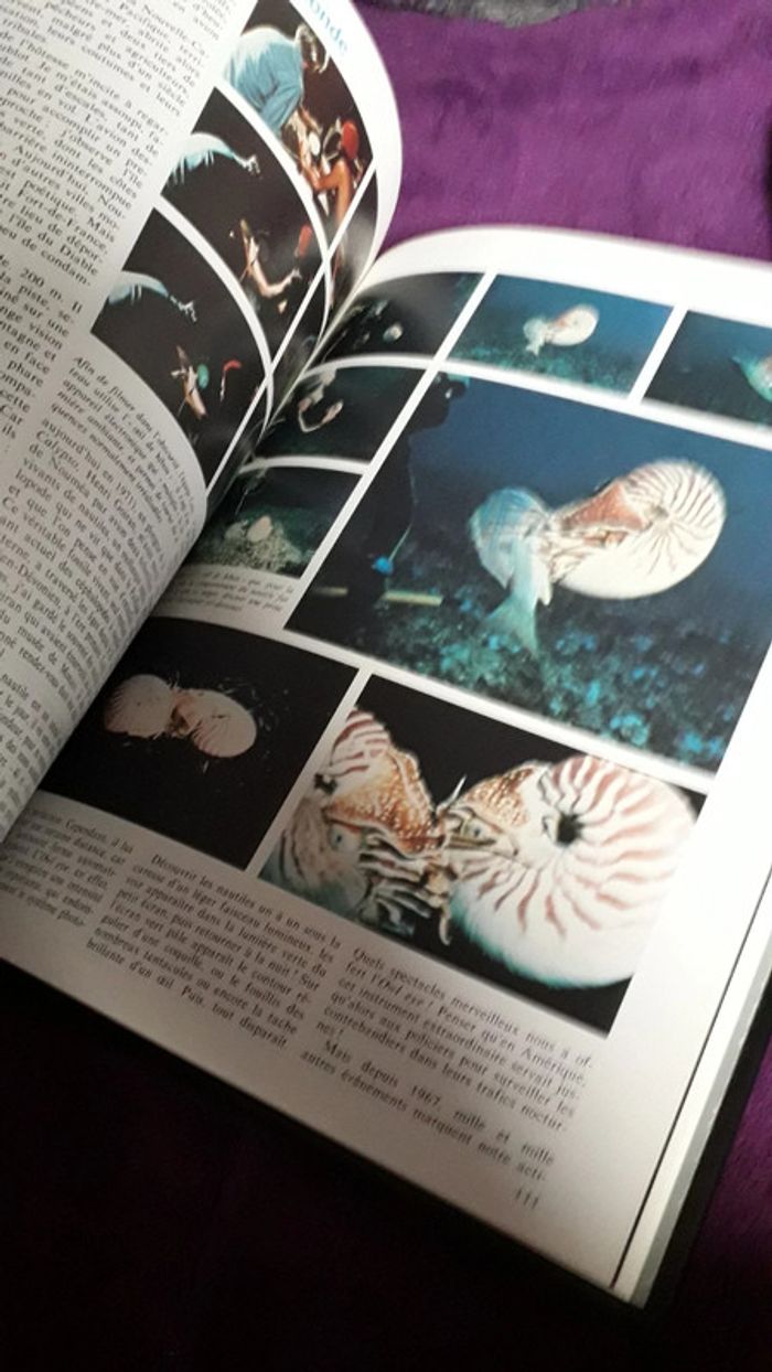 Livre Cousteau - photo numéro 7