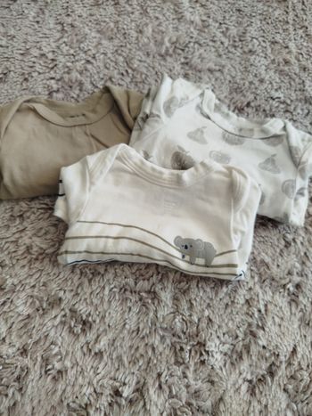 Lot de 3 bodies