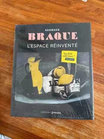 Livre, Georges braque l’espace réinventer
