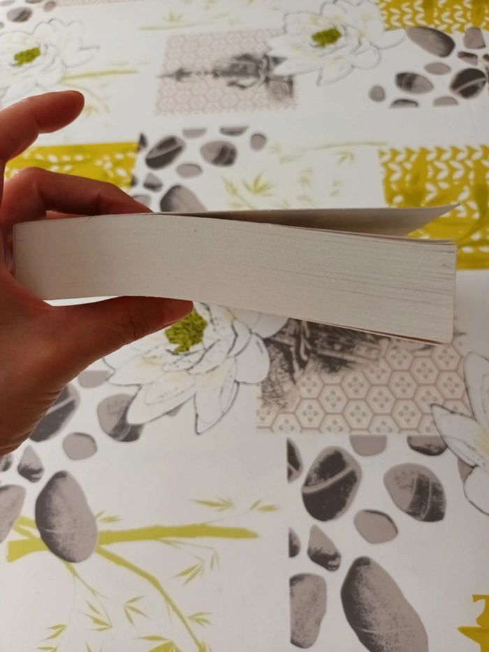 Livre : La baie aux perles de Roxane Dhand - photo numéro 3