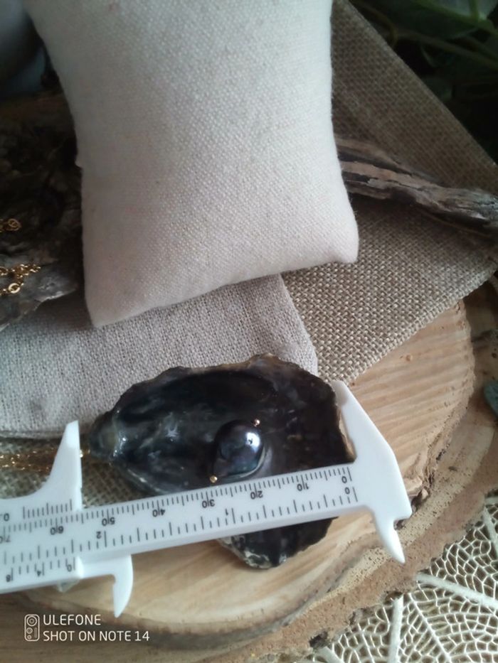 Collier véritables coquille d'huître à nacre grise + perle de culture d'eau - photo numéro 4