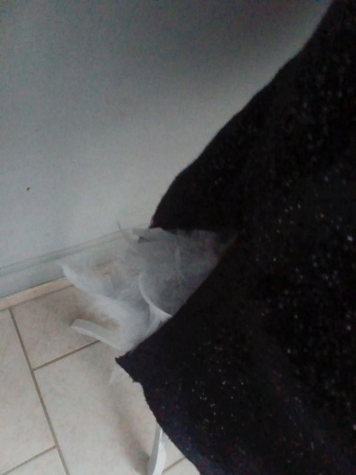 Pull Taille 38 trend - photo numéro 7