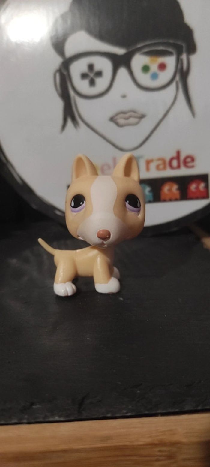 My Littlest Petshop Pet Shop LPS Bull Terrier 860 hasbro dog Yellow Purple Chien