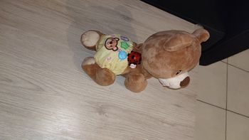 Ourson d'apprentissage