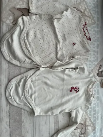 Bodies