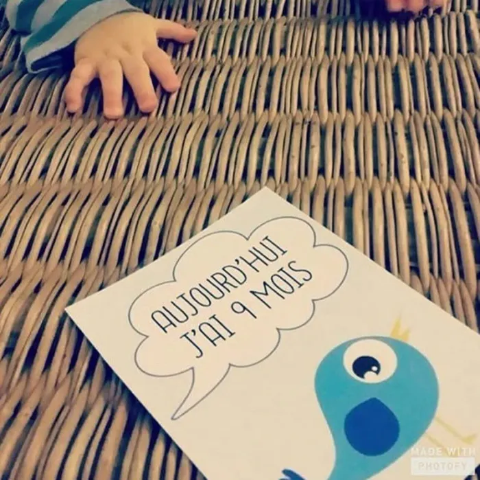 Cartes étapes oiseau pour bébé - photo numéro 2
