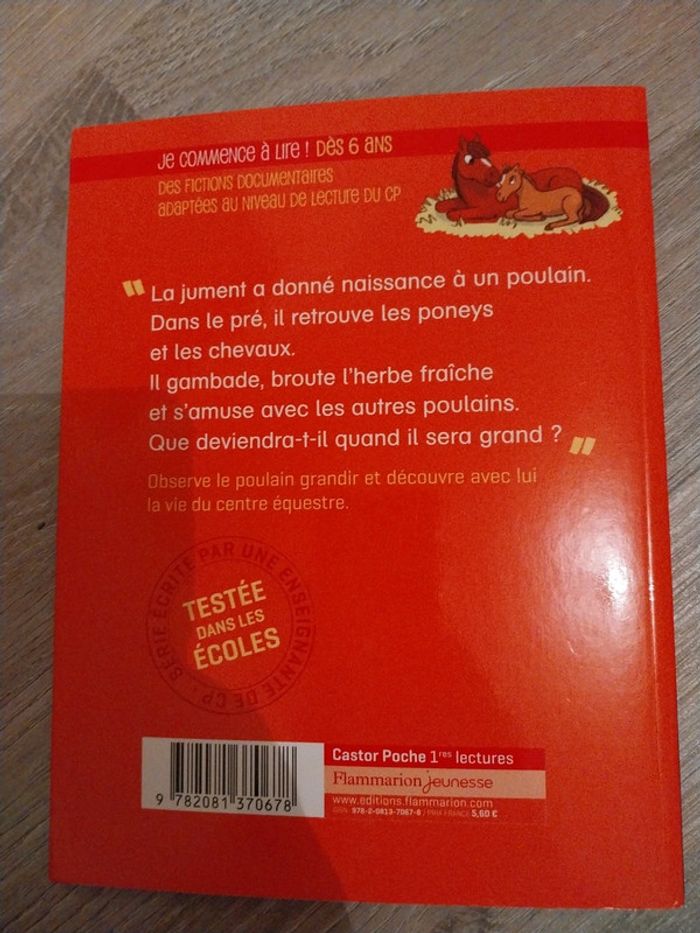Je suis en CP  - les documents du CP - chevaux et poneys - photo numéro 2