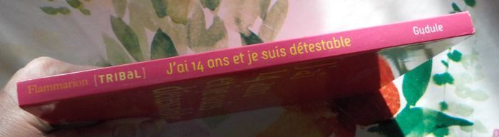 J AI 14 ANS ET JE SUIS DETESTABLE de GUDULE Ed. Flammarion - photo numéro 4