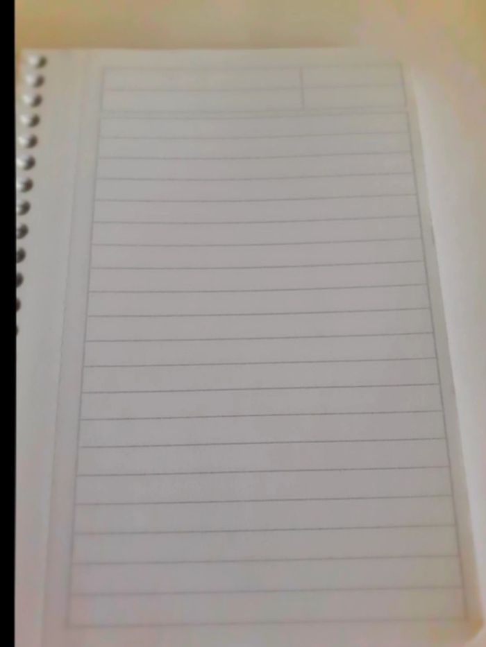 petit cahier a6 - photo numéro 2