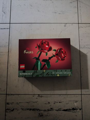 Boîte Lego BOTANICALS 