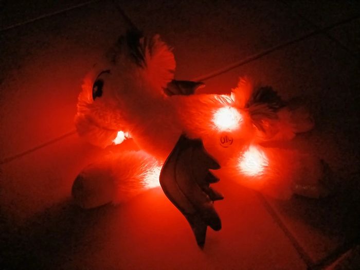 Licorne lumineuse - photo numéro 2