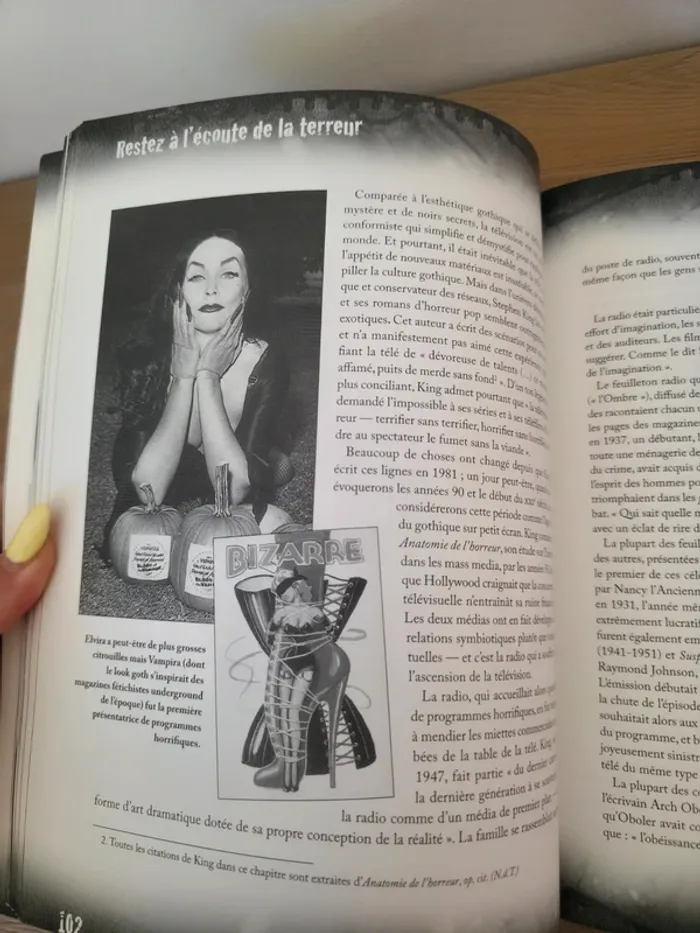 La culture des ténébres gothic - photo numéro 5