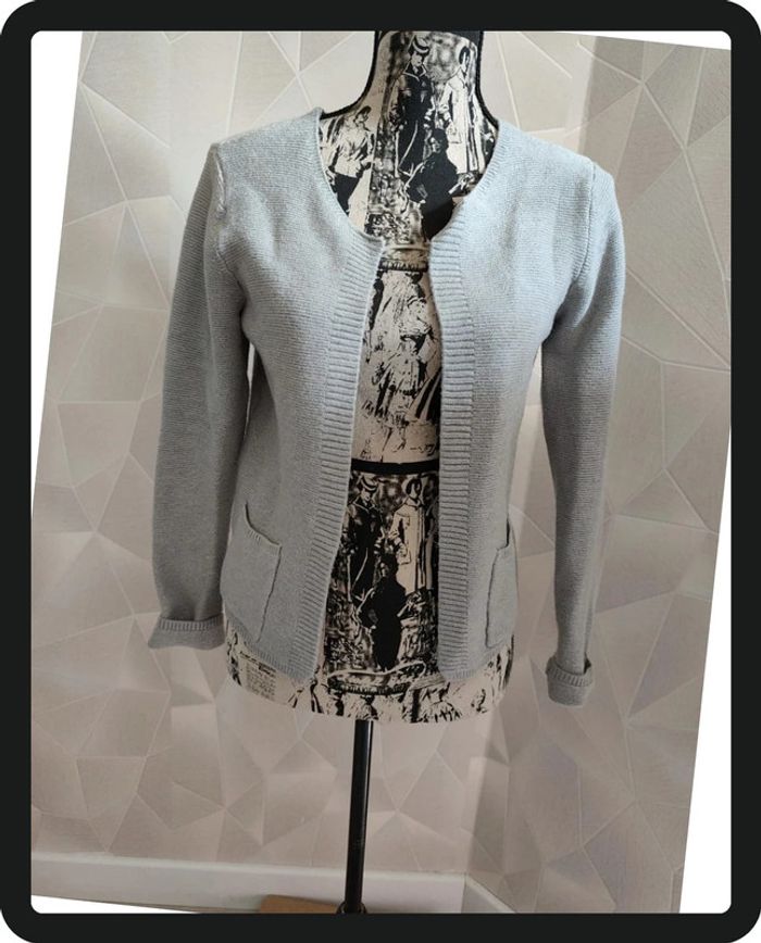 Gilet gris