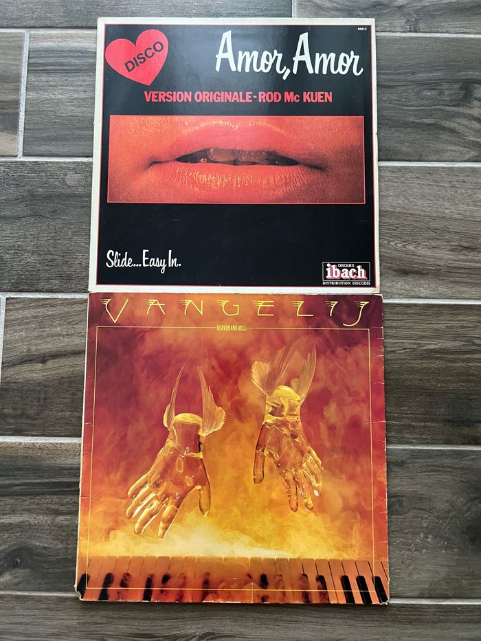 Lot de 17 Vinyles 33 tours - photo numéro 8