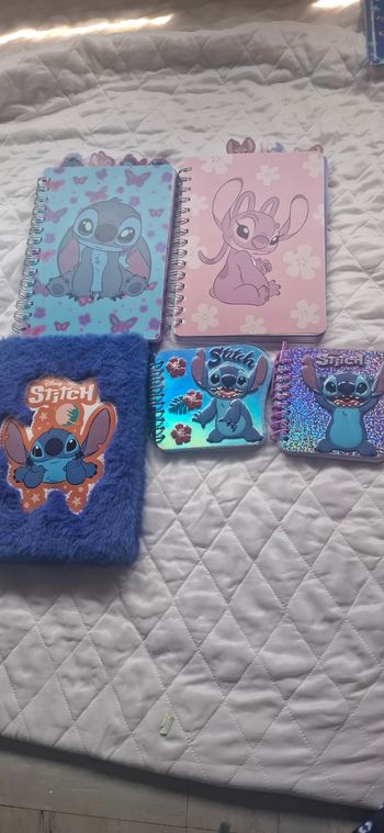 Carnets stitch