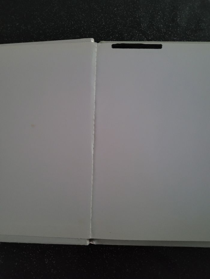 Livre Hemma jolis temps - photo numéro 2