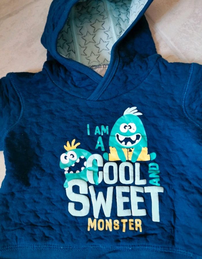 Sweat-shirt à capuche bébé garçon 2/4 mois neuf - photo numéro 2