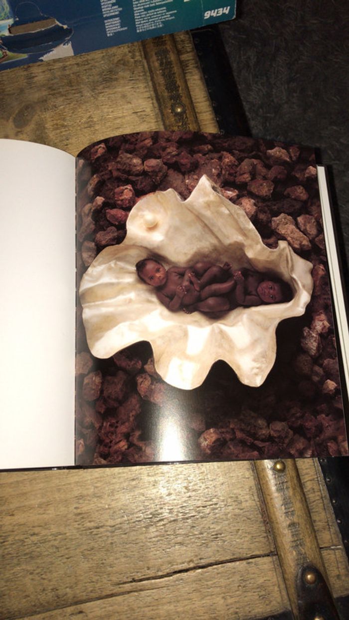 Magnifique livre Anne Geddes - photo numéro 6