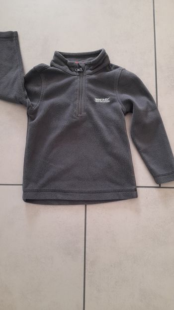Pull polaire