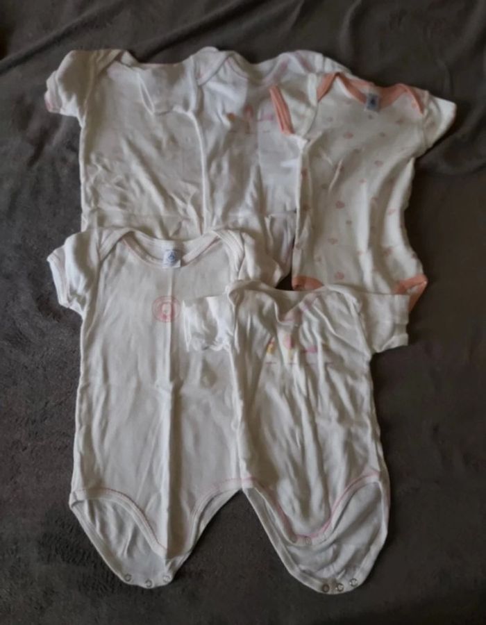Lot 5 bodies