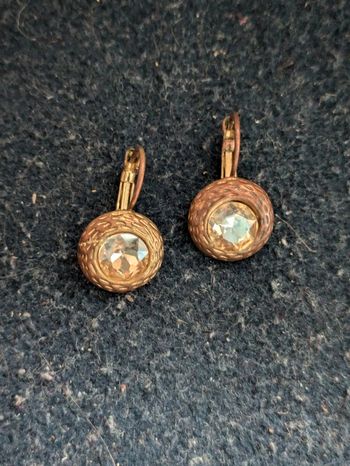 Boucles dormeuses avec un strass