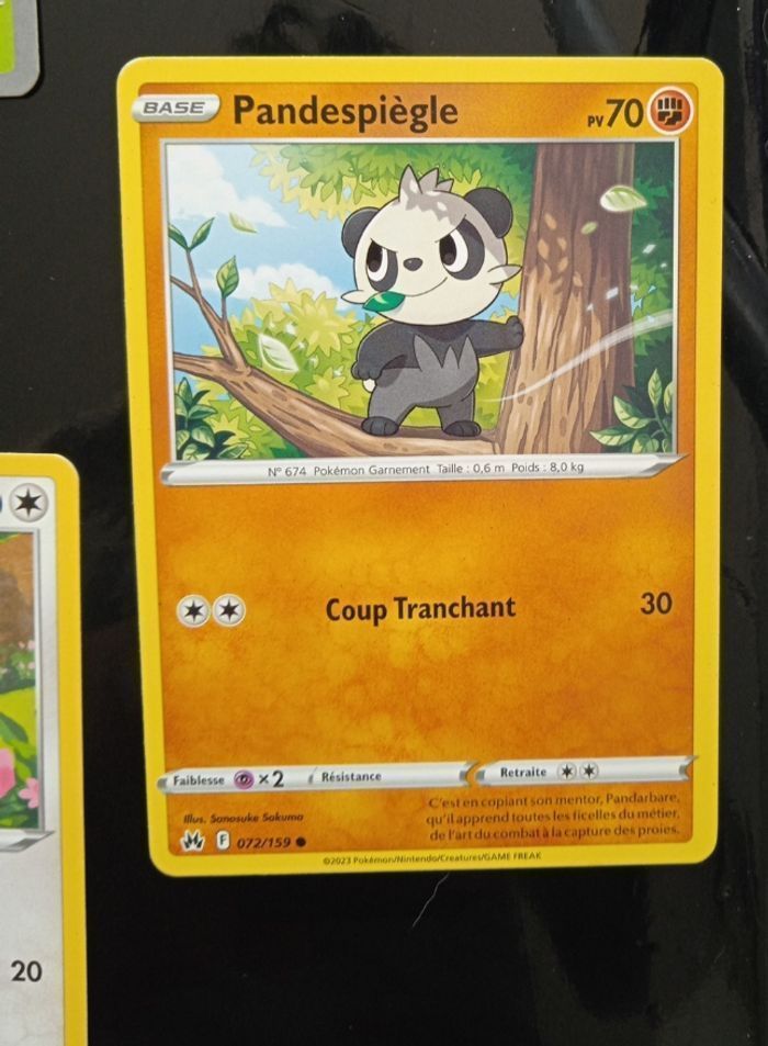 Album Pokémon - photo numéro 4