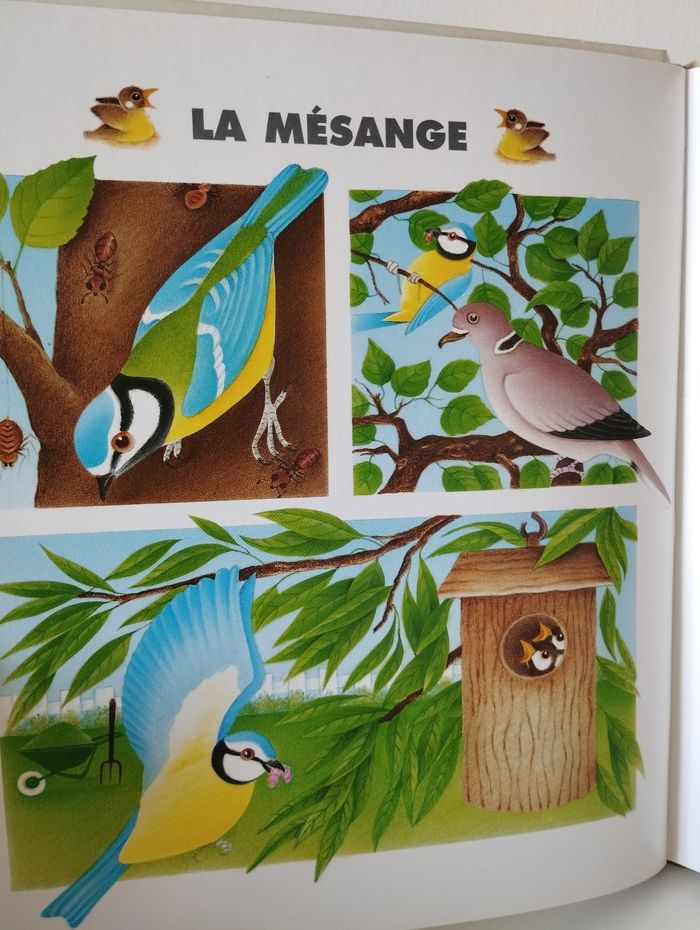 Livre Je lis avec les animaux du jardin - photo numéro 8