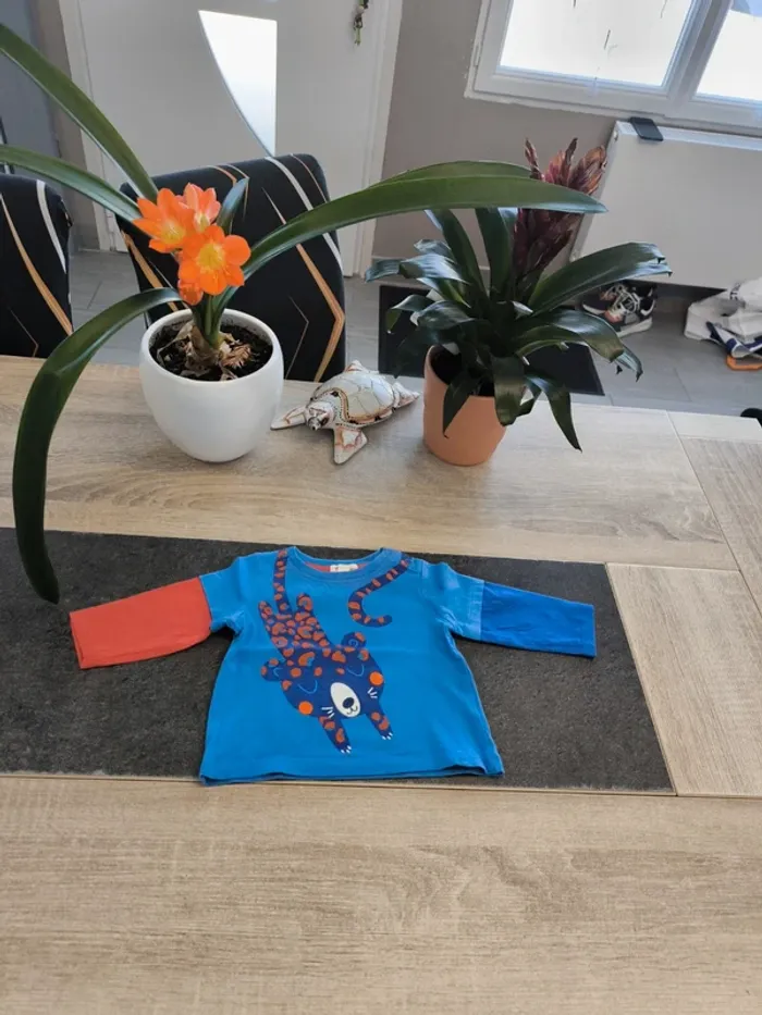 Tee-shirt garçon ml 6 mois Dpam