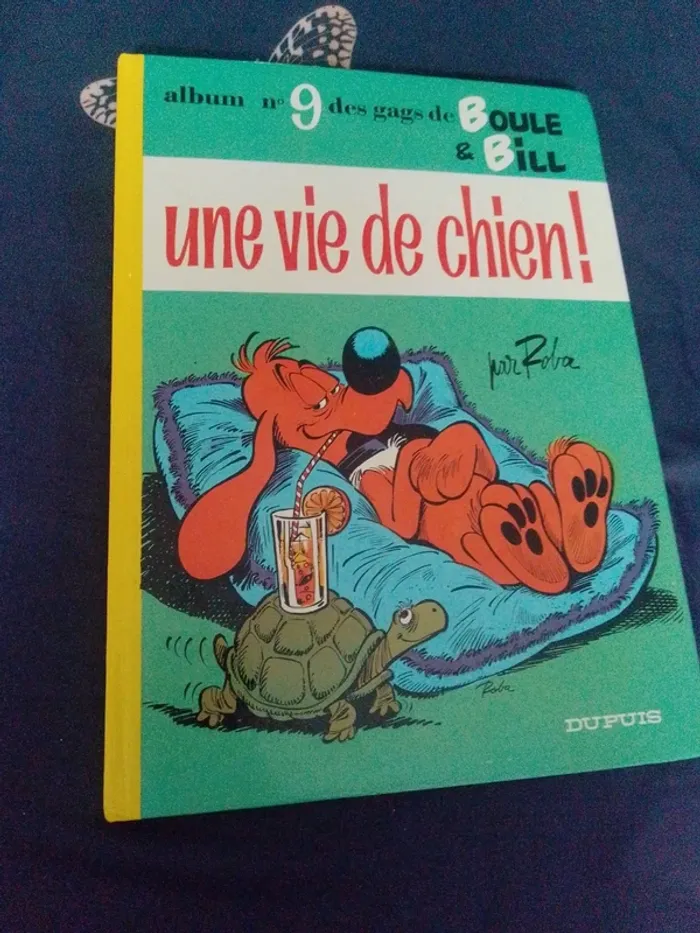Boulle et bill une vie de chien 9