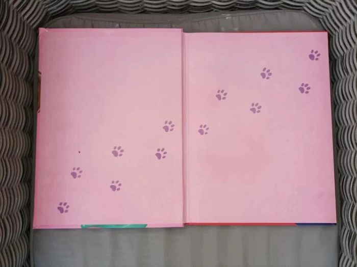 Livre d'histoires de chats et chatons - photo numéro 2