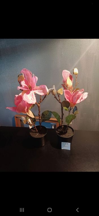 2 plantes artificielle neuf