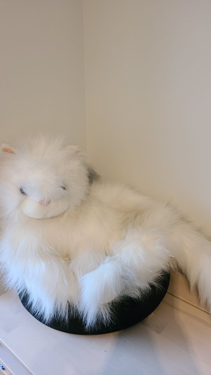 peluche chat blanc angora gipsy range pyjama - photo numéro 5