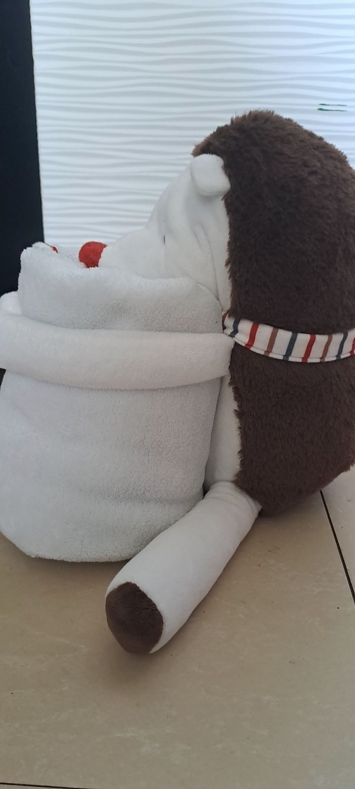 Hérisson et son plaid - photo numéro 2