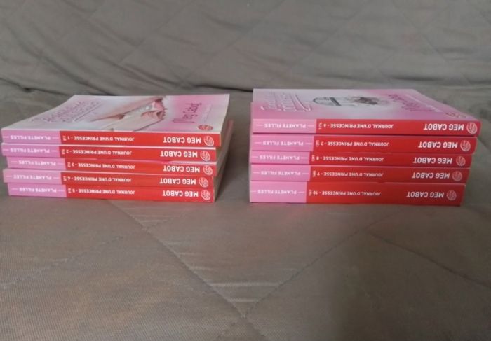 Livre journal d’une princesse - photo numéro 3