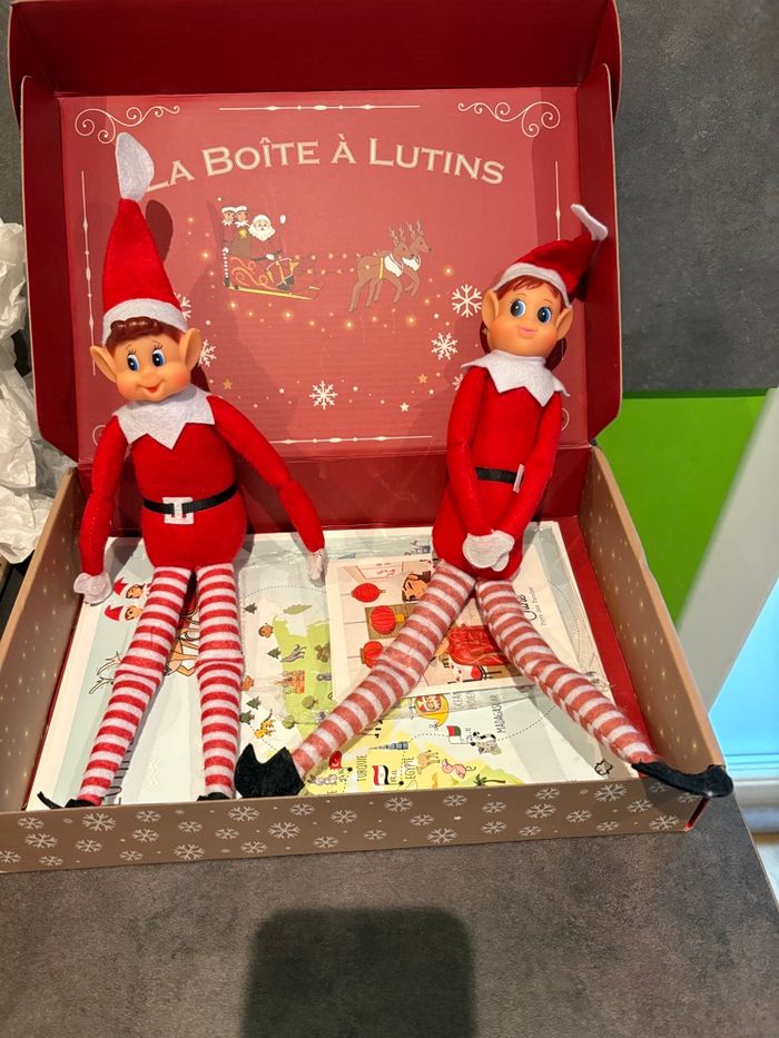 Box lutin farceur - photo numéro 2