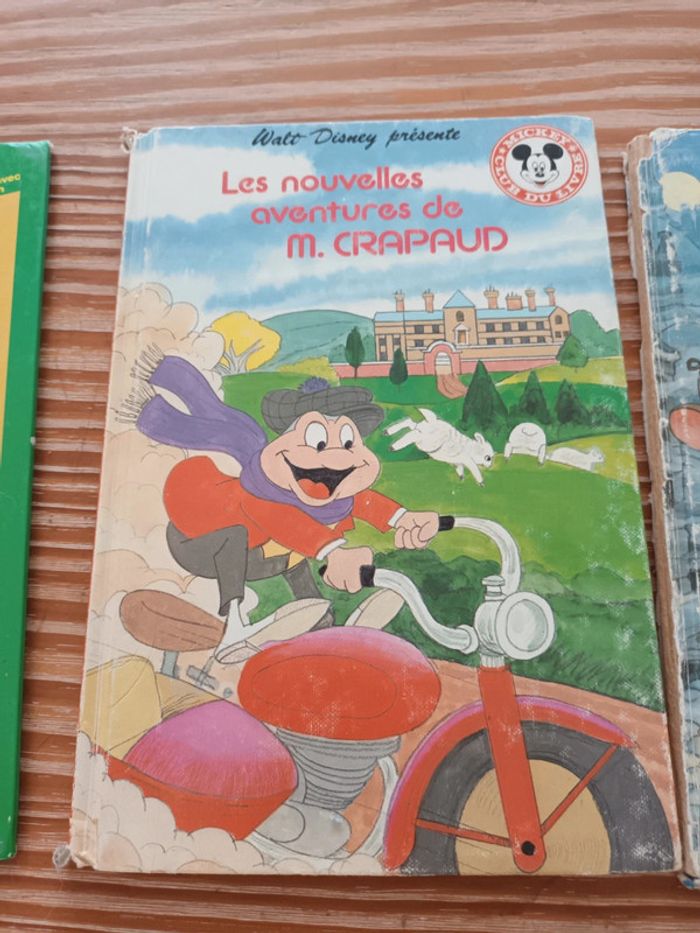 lot livres Disney et 1 Babar - photo numéro 3