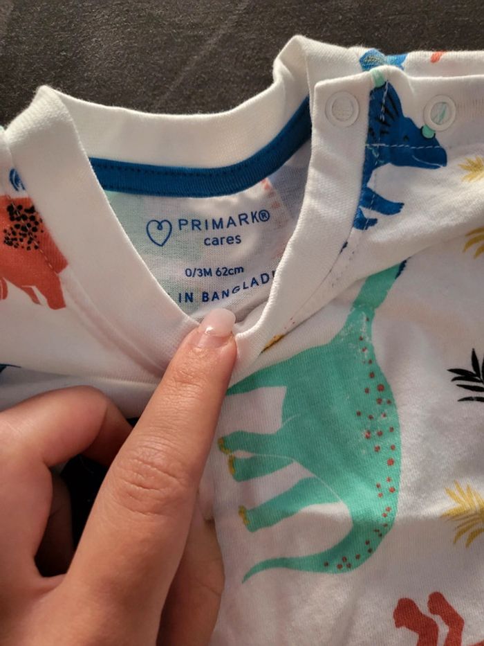 Ensemble - photo numéro 3